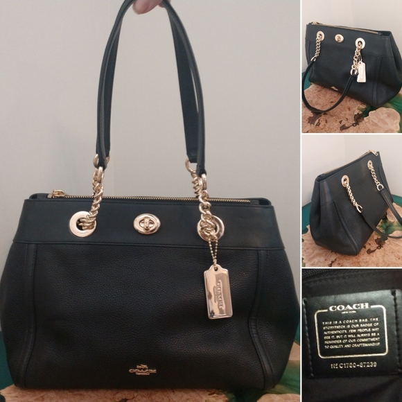 coach turnlock edie carryall
